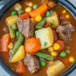 Beef Vegetable Soup Recipe