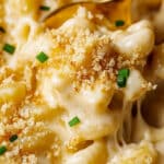 Butternut Squash Mac and Cheese Recipe