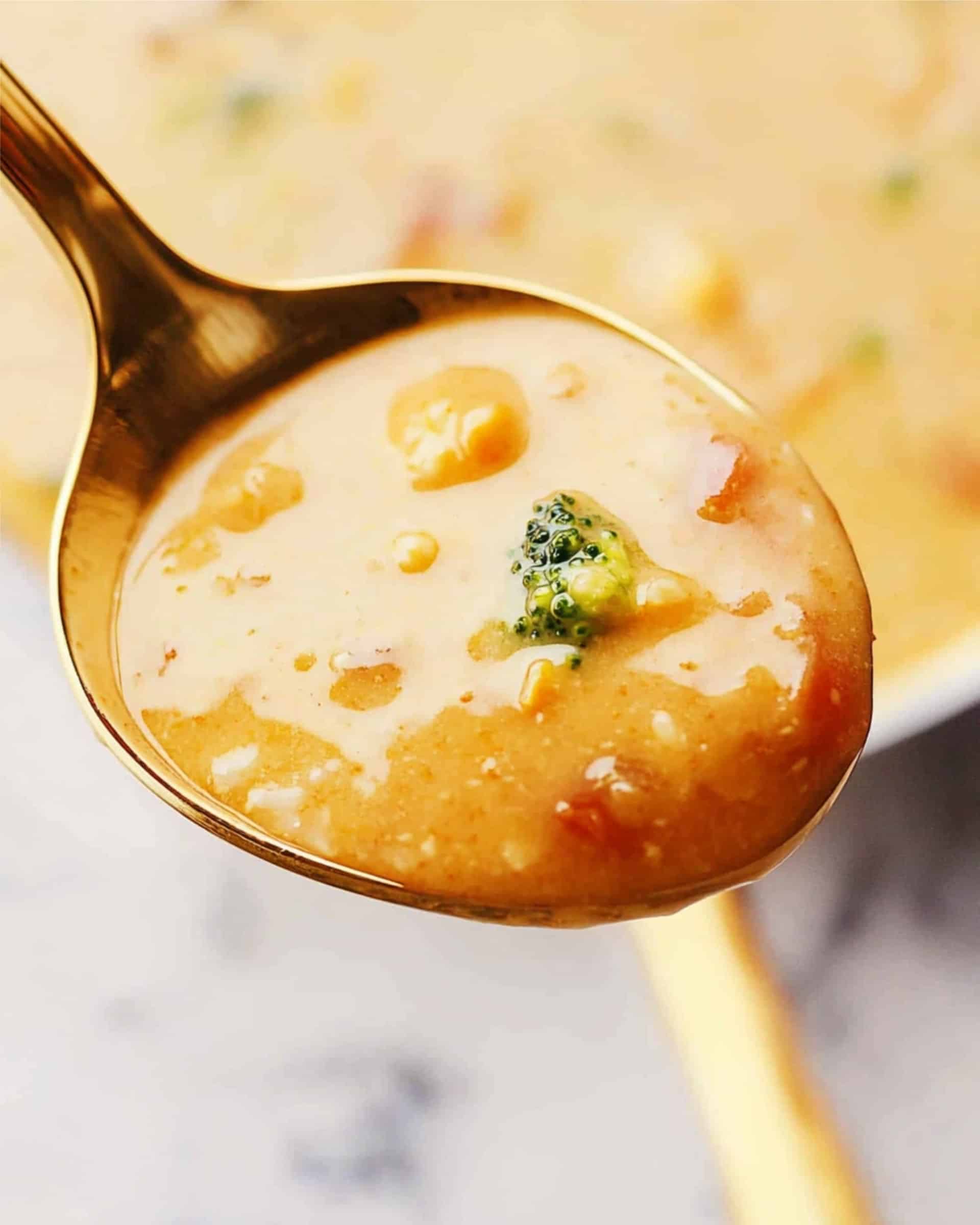 Cheesy Vegetable Soup Recipe