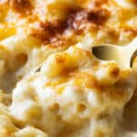 Creamy Baked Macaroni and Cheese Recipe