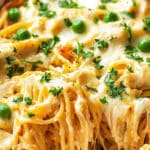 Easy Chicken Tetrazzini Recipe