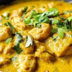 Indian Chicken Korma Recipe