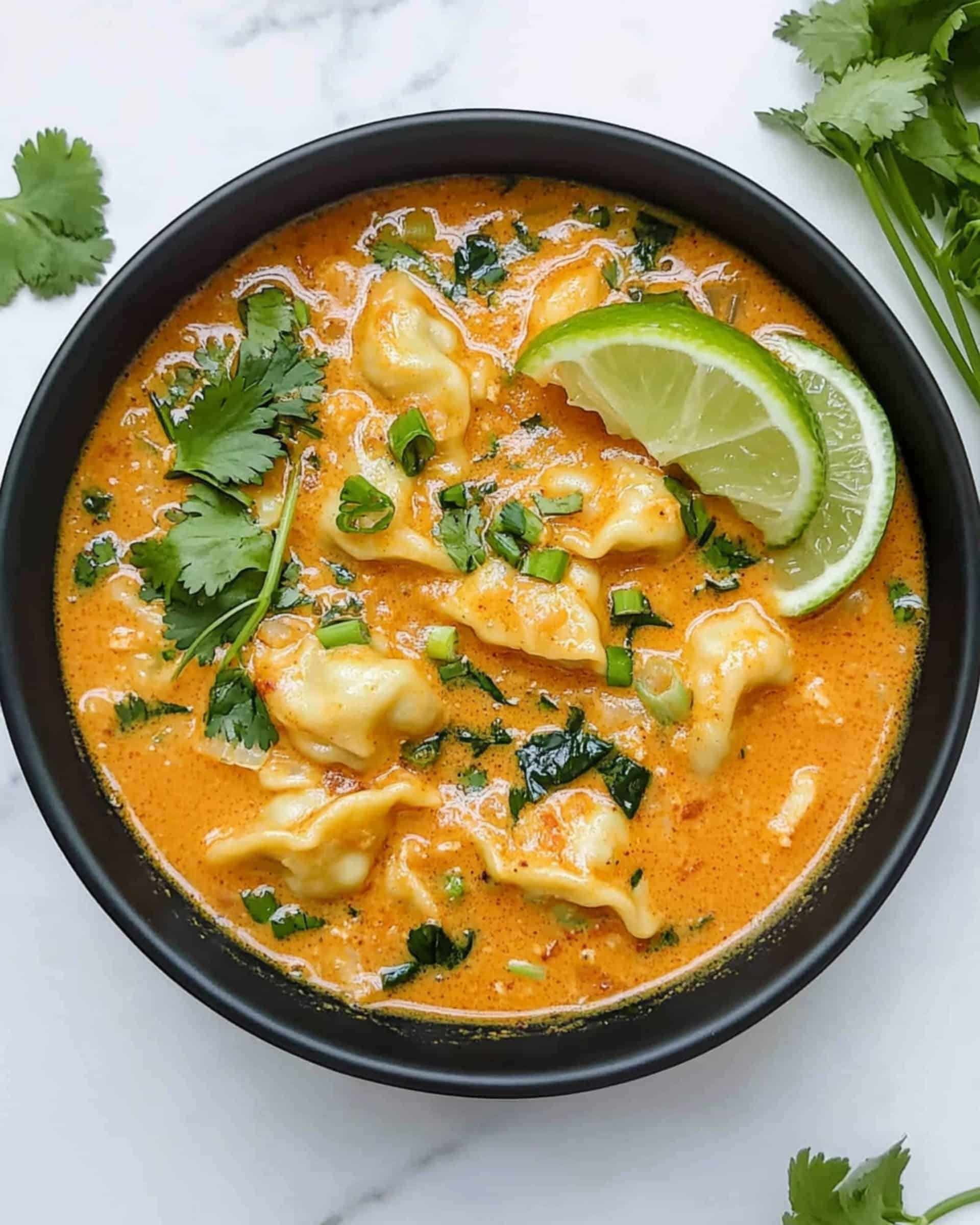 Thai Red Curry Dumpling Soup Recipe