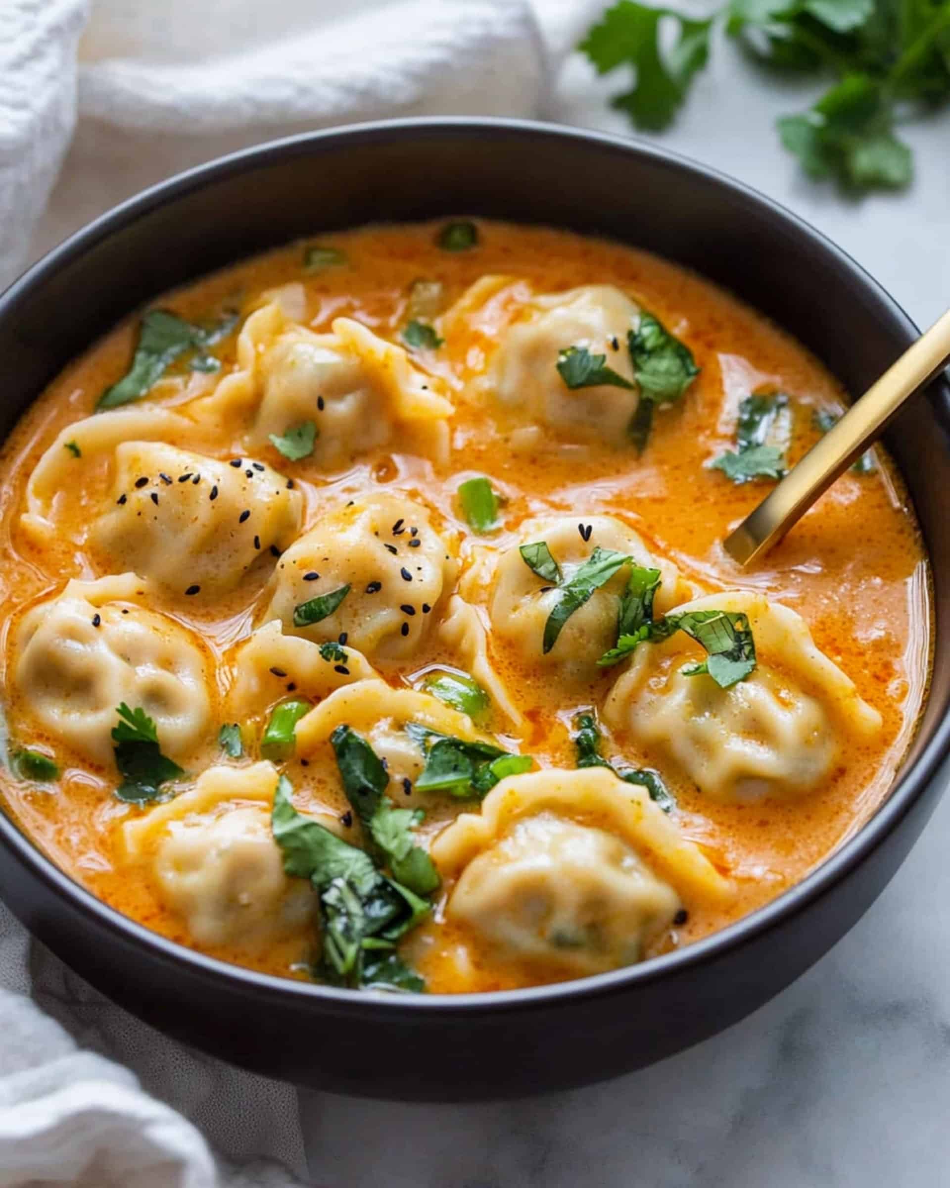 Thai Red Curry Dumpling Soup Recipe