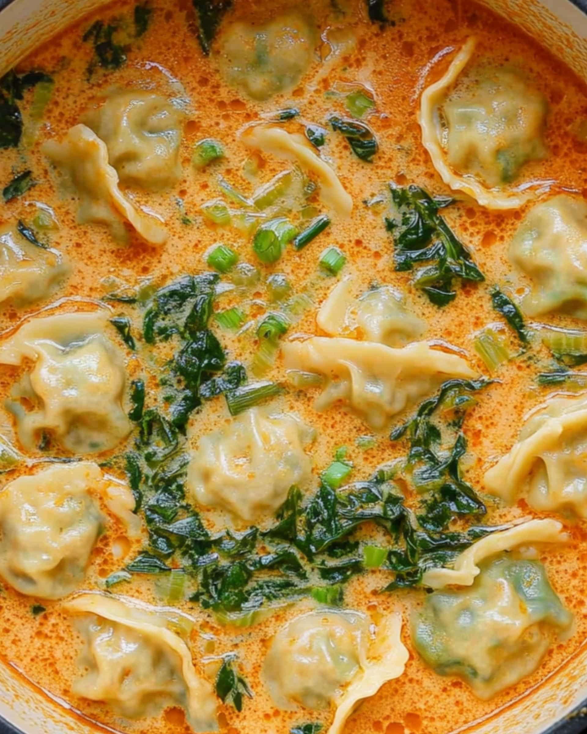 Thai Red Curry Dumpling Soup Recipe