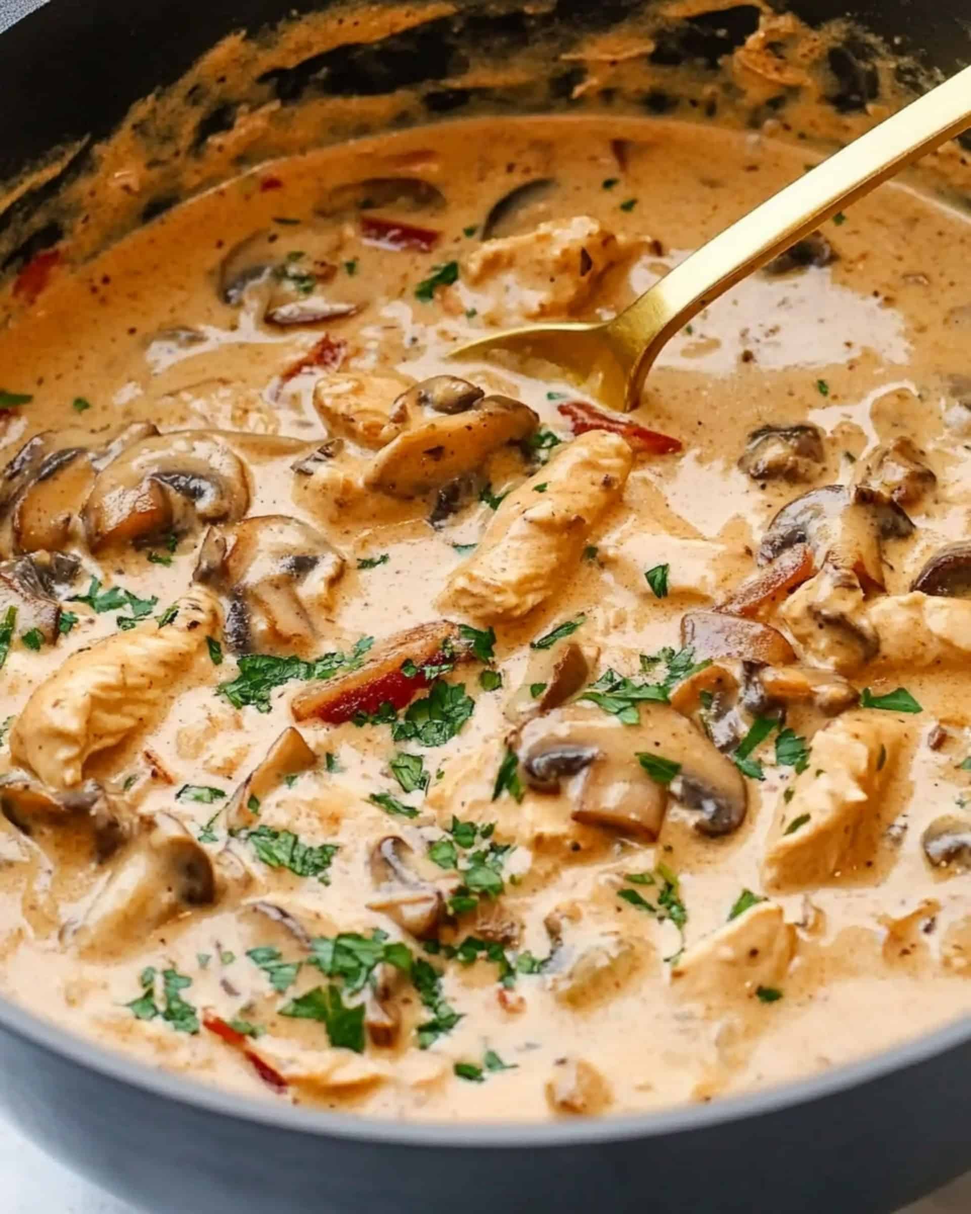 Chicken Stroganoff Recipe