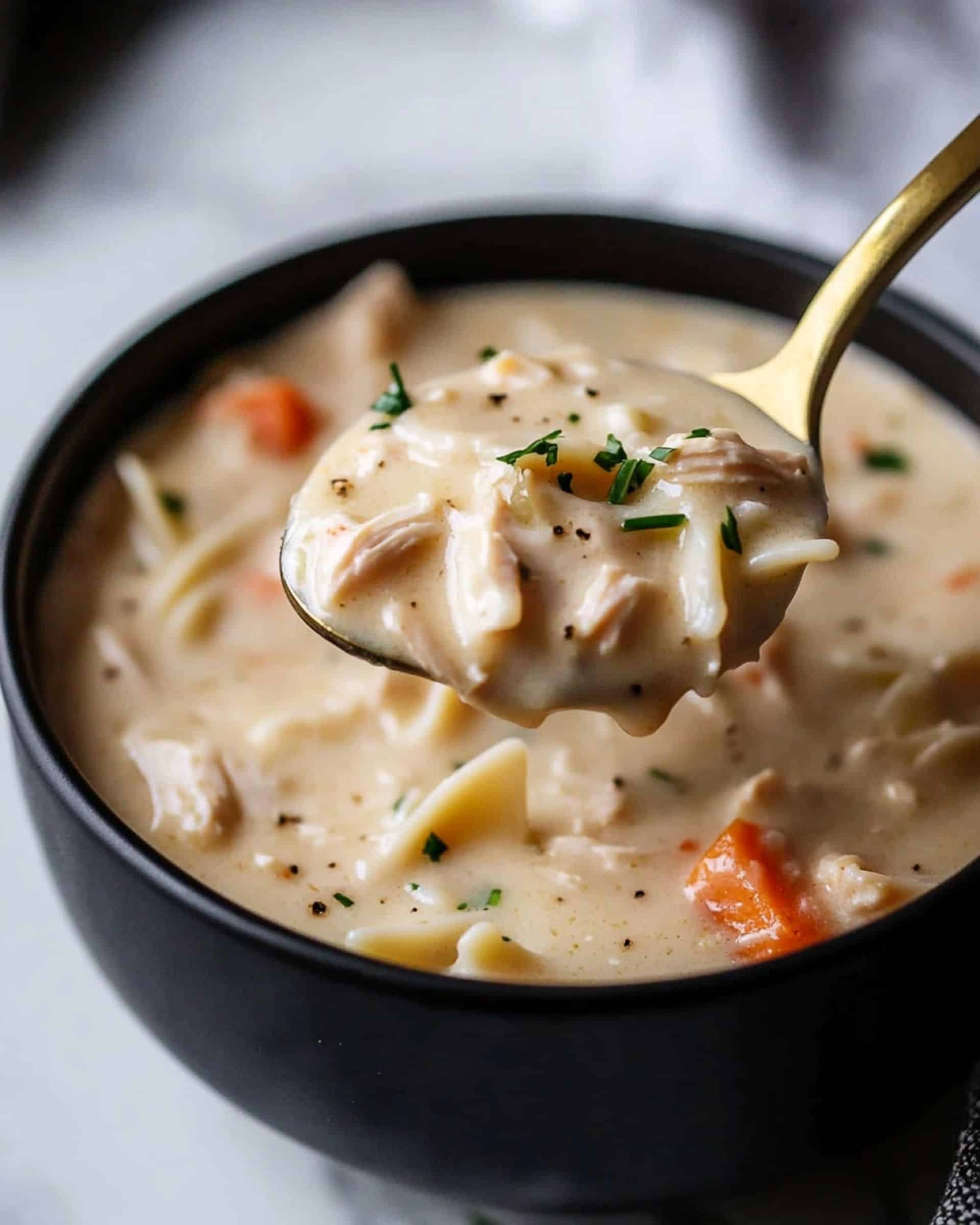 Creamy Chicken Alfredo Soup Recipe