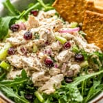 Fall Chicken Salad Recipe