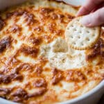 Hot Onion Dip Recipe