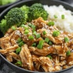 Instant Pot Teriyaki Chicken Recipe