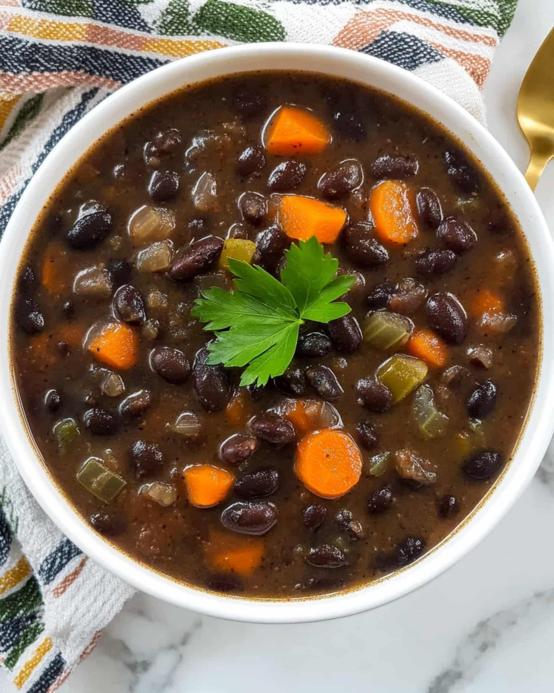 Easy Black Bean Salsa Soup Recipe