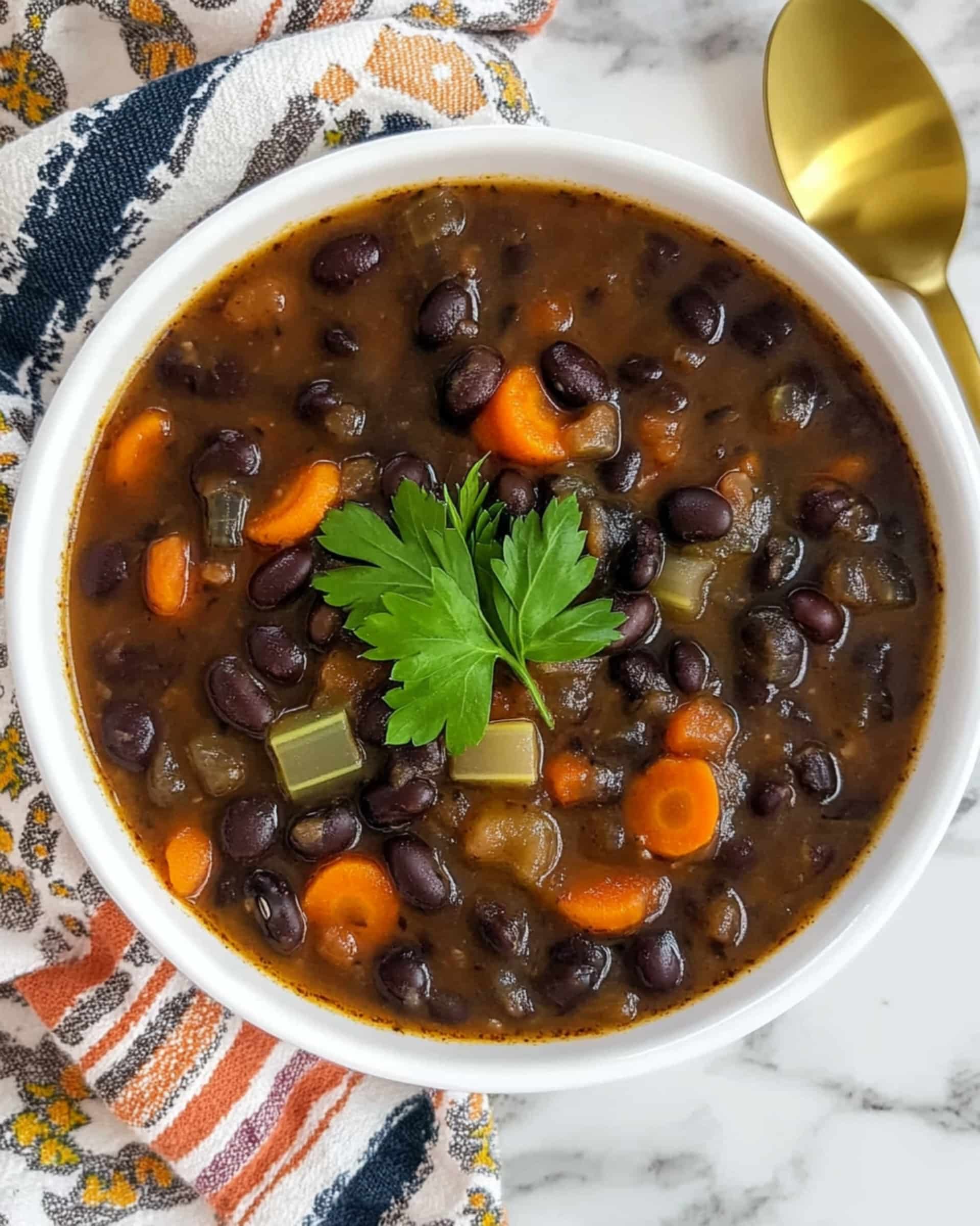 Easy Black Bean Salsa Soup Recipe