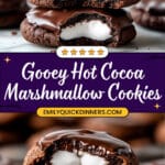 Marshmallow Hot Cocoa Surprise Cookies Recipe