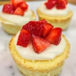 Miniature Baked Cheesecakes Recipe