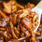 Slow Cooker Zesty BBQ Chicken Recipe