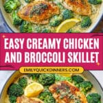 Creamy Chicken and Broccoli Recipe