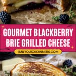 Blackberry Balsamic and Brie Grilled Cheese Recipe