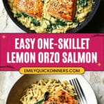 One Skillet Salmon with Lemon Orzo Recipe