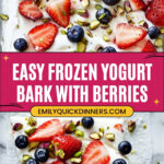 Frozen Yogurt Bark Recipe