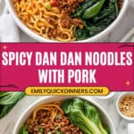Dan Dan Noodles (Dan Dan Mian) Recipe