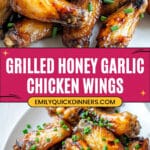 Grilled Honey Garlic Chicken Wings Recipe