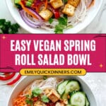 Spring Roll Salad Recipe