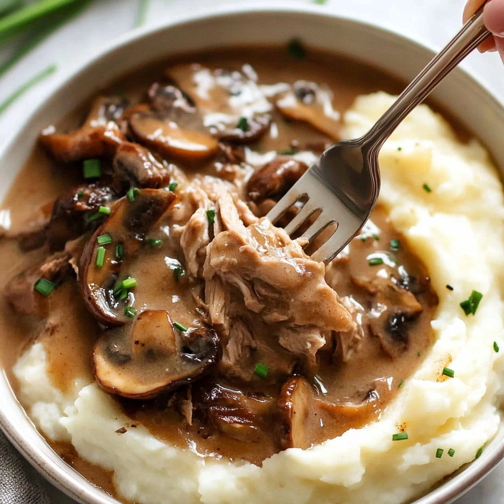 Slow Cooker Beef Stroganoff Recipe - Recipe Image