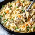 Chicken Pot Pie Noodle Recipe