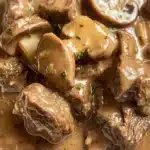 Slow Cooker Beef Stroganoff Recipe