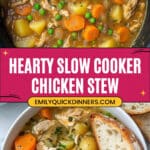 Slow Cooker Chicken Stew Recipe