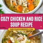 Chicken and Rice Soup Recipe