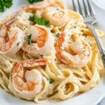 Shrimp Fettuccine Alfredo Recipe