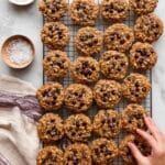 Aunt Lolly’s Oatmeal Chocolate Chip Cookies Recipe