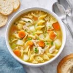 Rotisserie Chicken Noodle Soup Recipe