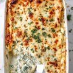 Cheesy Chicken Alfredo Lasagna Recipe