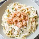Creamy Shrimp Alfredo Pasta Recipe