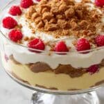 Eggnog Gingerbread Trifle Recipe