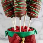 Festive Chocolate Marshmallow Pops Recipe